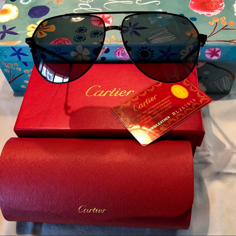 Cartier Pilot Unissex